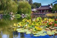 Garden in Huntington Library